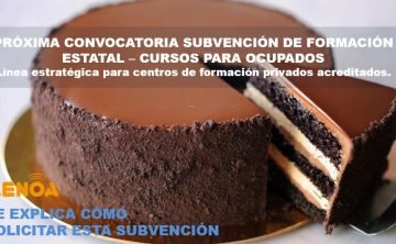 Webinar: Convocatoria de Subvención Estatal – Cursos para Ocupados. 13 y 15 febrero.