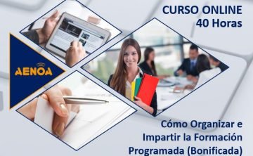 Curso Online: Cómo organizar e impartir la Formación Programada (Bonificada)