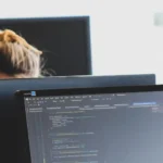 Cómo consultar la documentación de tus expedientes de formación programada en Fundae
